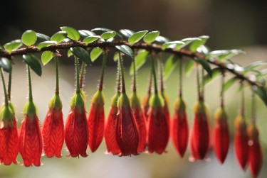 中山东区1私人快速借钱网，轻松解决资金难题