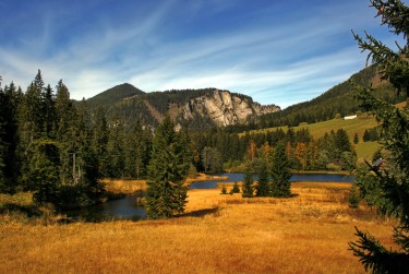 中山东区1民间私贷攻略：揭秘低成本借贷的秘密