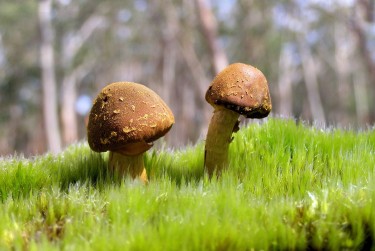 中山东区1私人老板放款：轻松融资的秘密通道